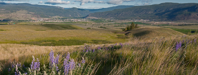 Land Acknowledgement